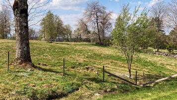 House | Property grounds