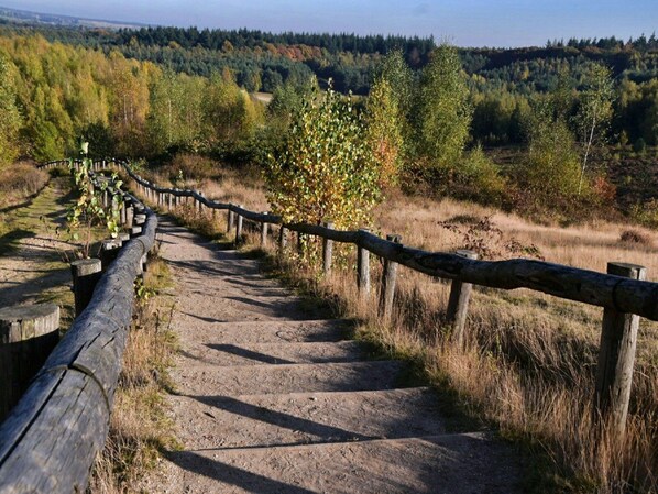 Un sentier de terre bordé de rambardes en bois qui traverse une zone boisée.