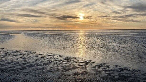 A beach with a calm sea reflecting the sky, a distant shoreline, and a clear horizon. - Holiday Home Heinrich (Wurster Nordseeküste)