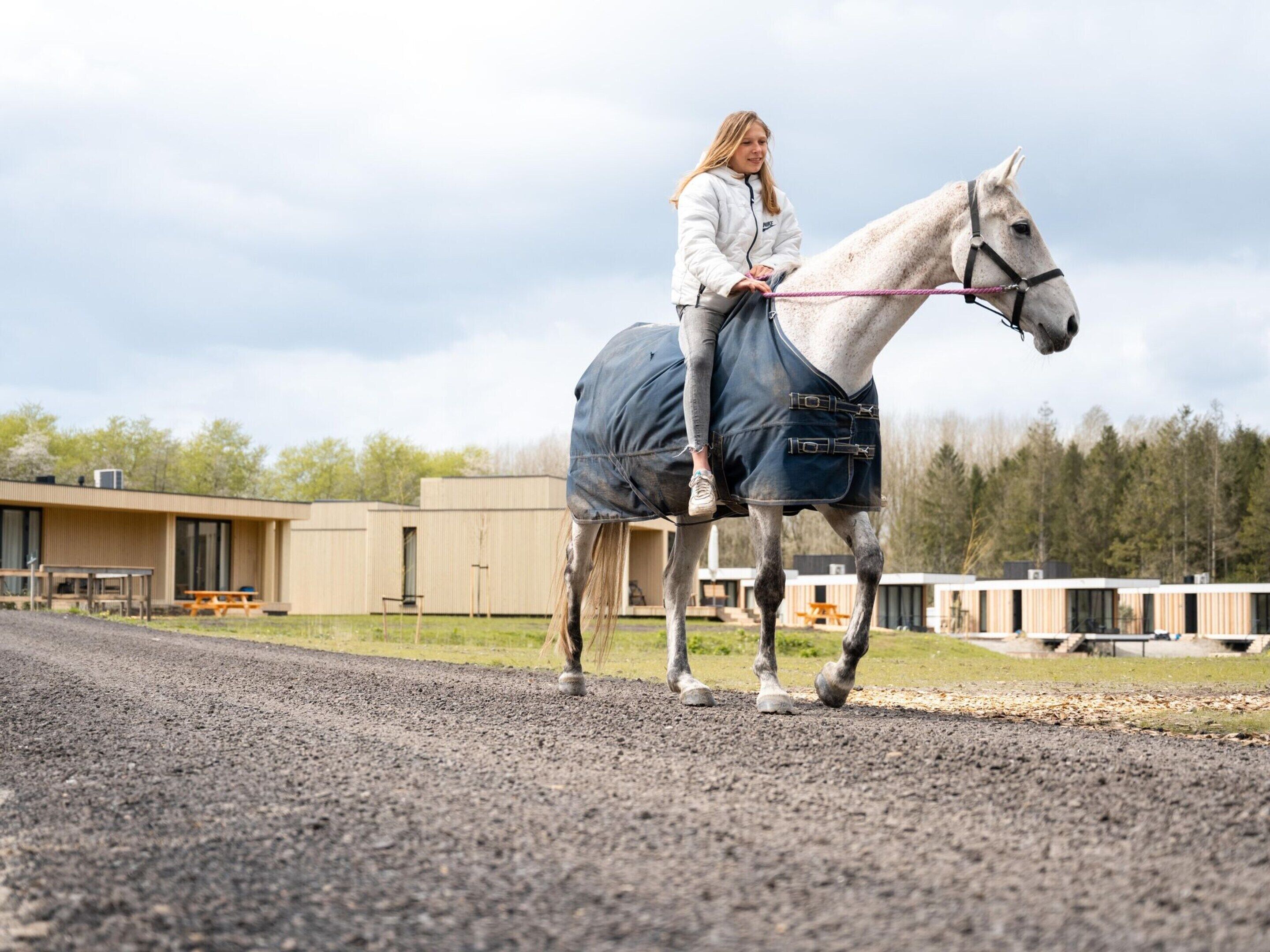 A person riding a horse on a gravel path with a building and trees in the background.