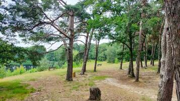 House | View from property