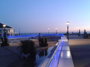 A waterfront promenade with a blue-lit railing, a dog, and a person walking. - Villa Sonnenschein (Makkum)