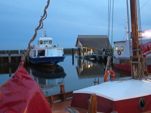 View from property - Apartment Evening sun (Zingst)