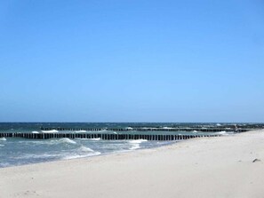 A beach with a long pier extending into the ocean. - Apartment Evening sun (Zingst)