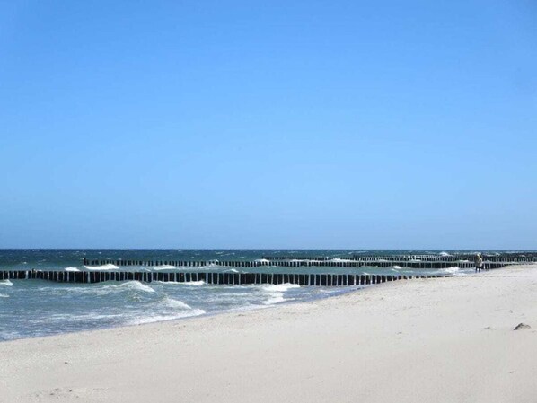 Beach - Apartment Evening sun (Zingst)