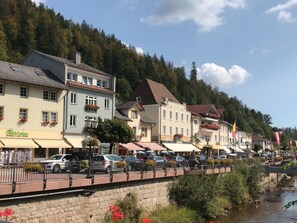 Pool - Meierhof Menzenschwand (St. Blasien)