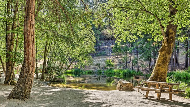 A park with a picnic table and benches, surrounded by trees and a small pond. - Game Room & Patio: Picturesque Home in Sonora (Sonora)