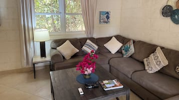 TV connectée, livres