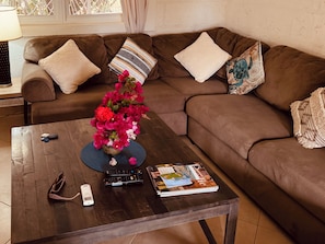 Smart TV, livros