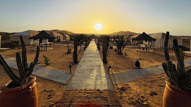 A desert resort with tents and cacti, a paved walkway, and a clear sky. - Amskou Camp (Rissani)