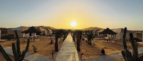 Ilmainen Wi-Fi, vuodevaatteet