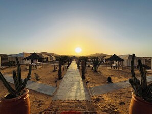 Free WiFi, bed sheets - Amskou Camp (Rissani)