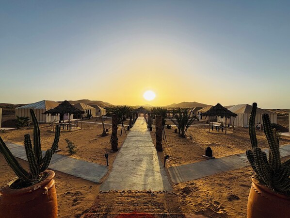 免费 WiFi、床单