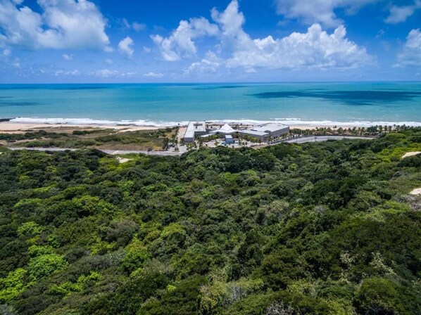 Un complexe hôtelier offrant une vue sur la plage, une végétation luxuriante et un ciel dégagé.