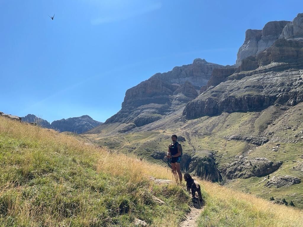 Eine Person führt einen Hund auf einem Bergpfad mit felsigem Gelände und blauem Himmel.