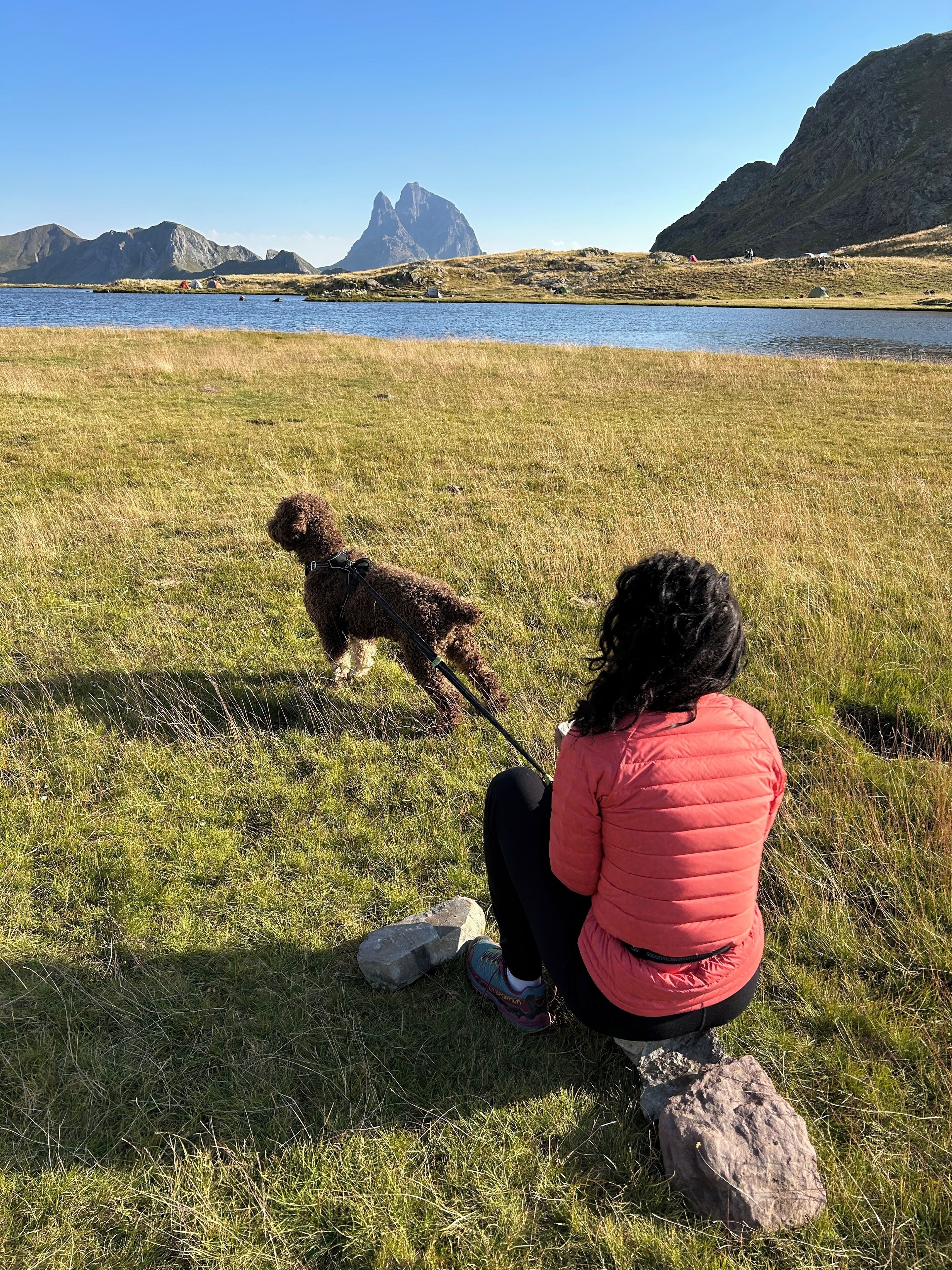 A person sitting on grass with a dog, overlooking a lake and mountains.