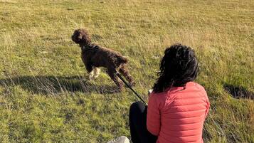 A person sitting on grass with a dog, overlooking a lake and mountains.