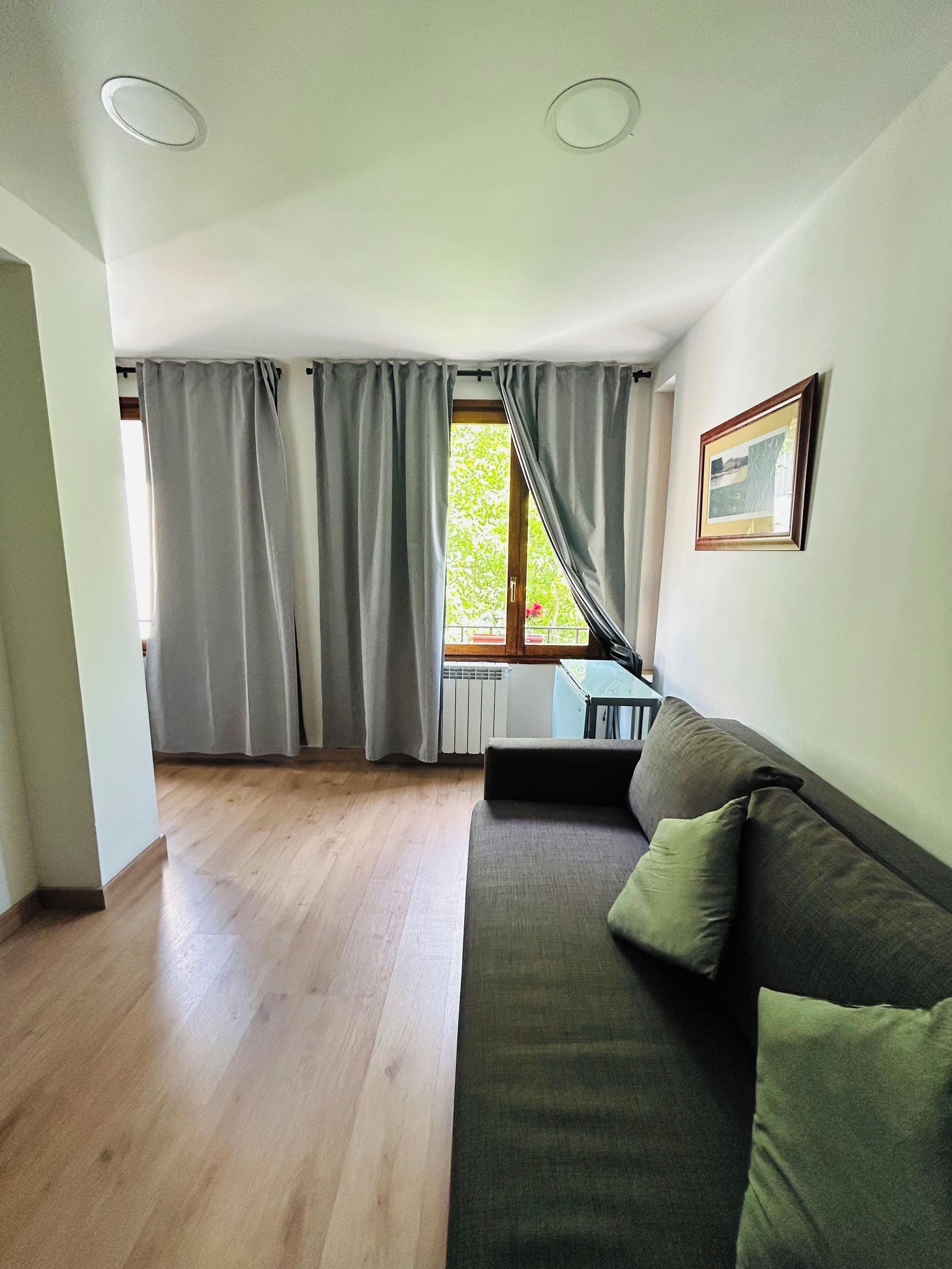 Un salon avec un canapé, une fenêtre avec des rideaux, un radiateur et un tableau accroché au mur.