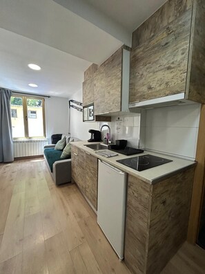 Private kitchen - Apartahotel Canfranc (Canfranc)