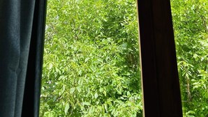 A view through a window with curtains, featuring a mountainous landscape with greenery and a rocky cliff. - Apartahotel Canfranc (Canfranc)