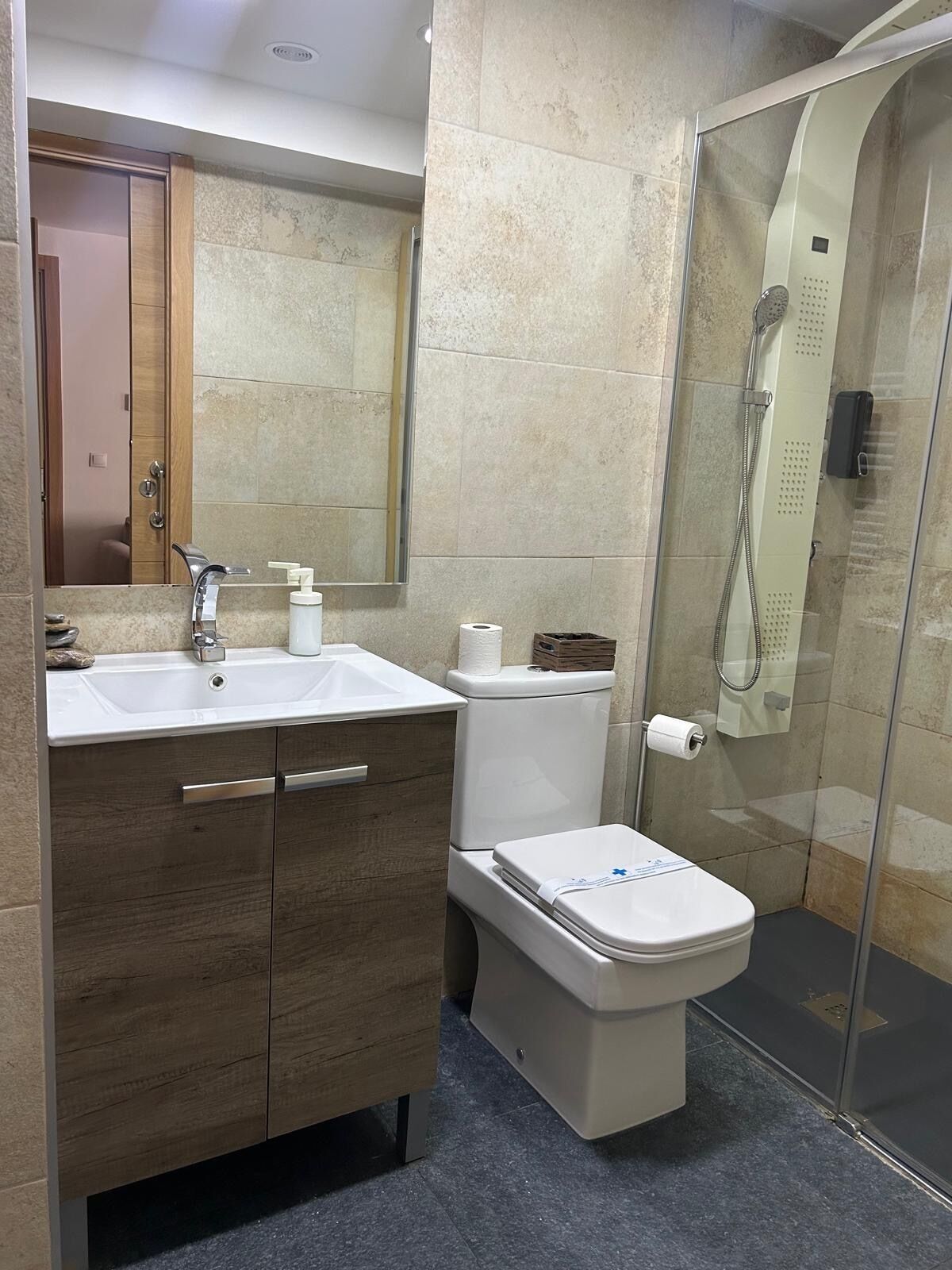 Un baño con lavabo, espejo, inodoro y ducha.