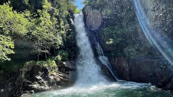 Una cascada que aboca a un riu cristal·lí envoltat per una densa foresta.
