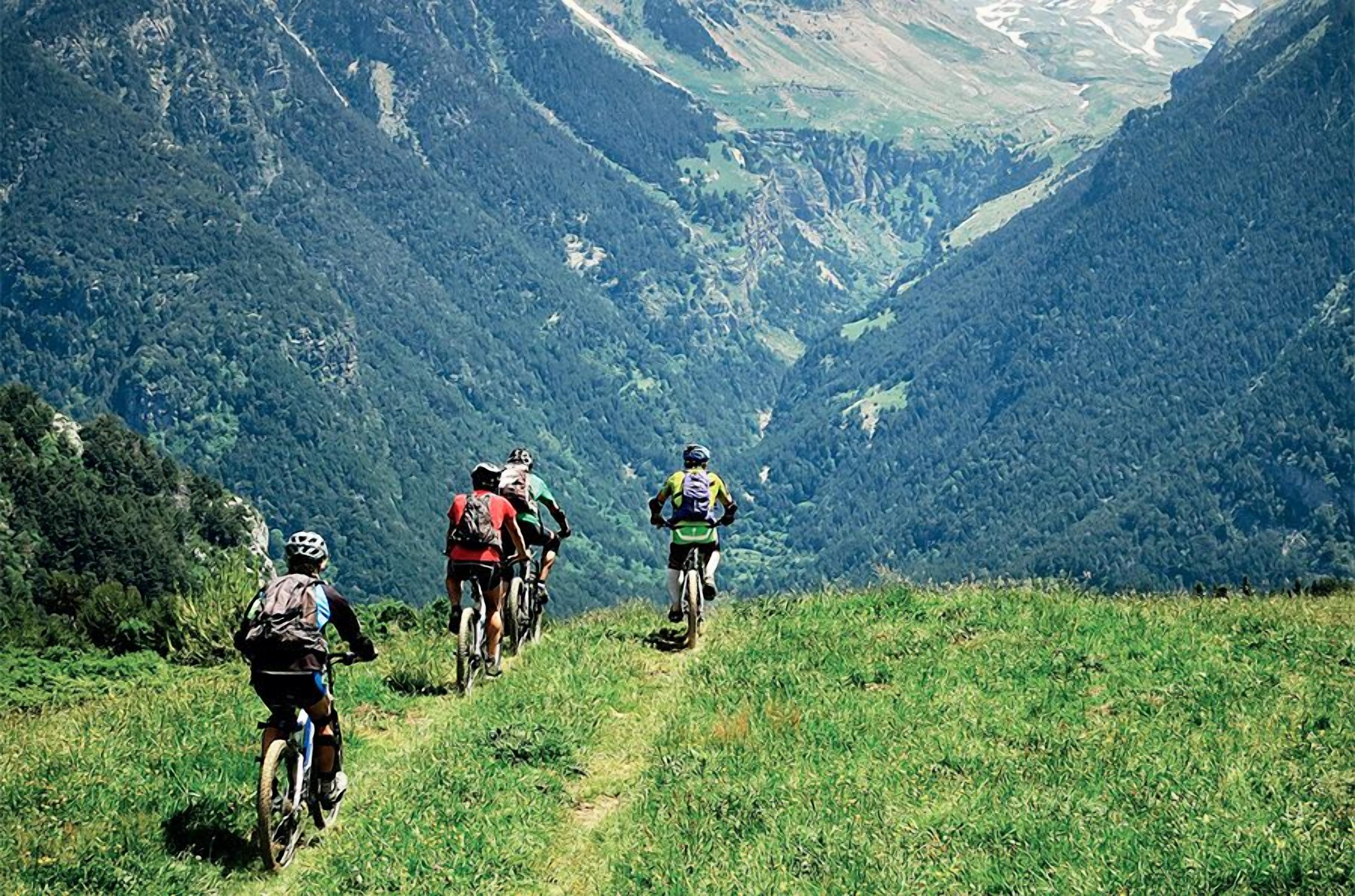 Un grupo de ciclistas en un sendero de montaña, rodeados de colinas verdes exuberantes.