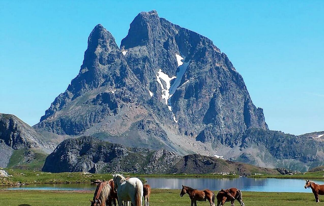 Una montagna con un lago e cavalli sullo sfondo.