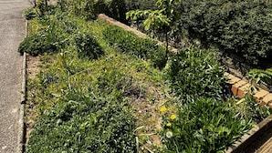 A garden with various plants and a brick pathway. - 2 Bed Chalet on Working Farm (Cullompton)