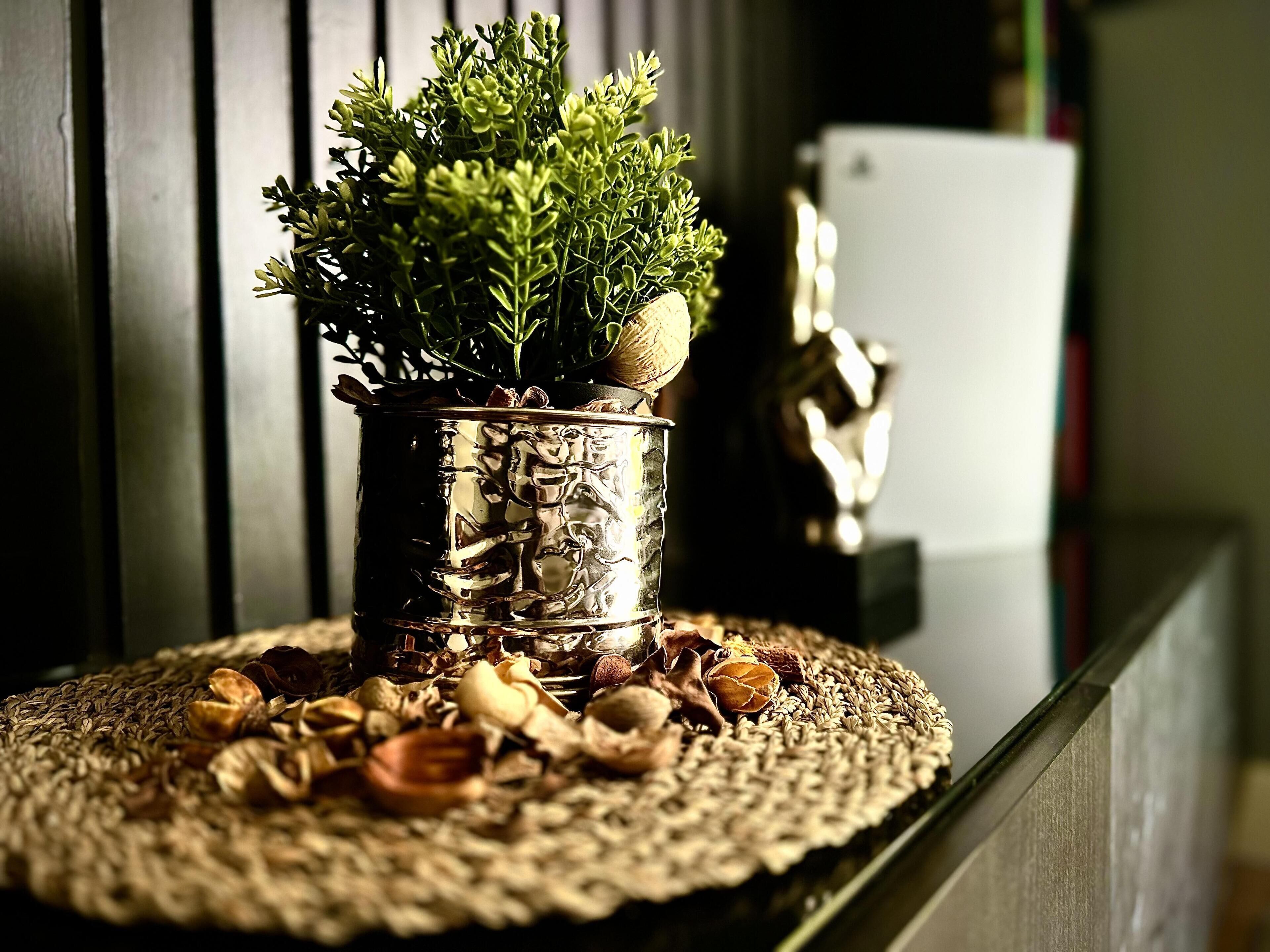 A potted plant with a textured pot on a woven placemat.