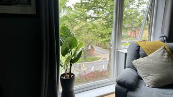 Apartment | Living area | TV