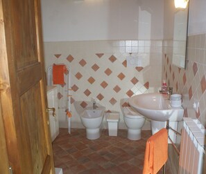 Shower, hair dryer, bidet