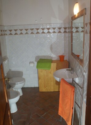 Regadera, secadora de cabello, bidet 