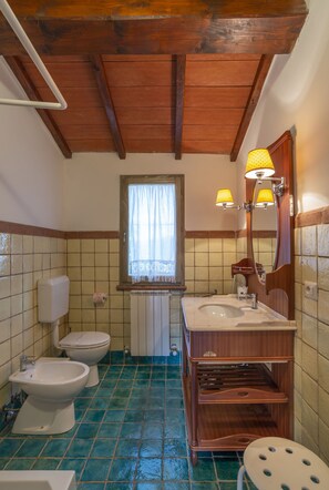 Shower, hair dryer, bidet