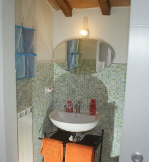 Shower, hair dryer, bidet