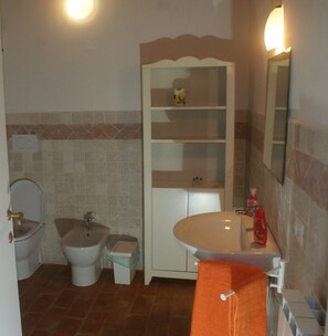 Shower, hair dryer, bidet