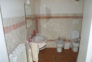 Shower, hair dryer, bidet