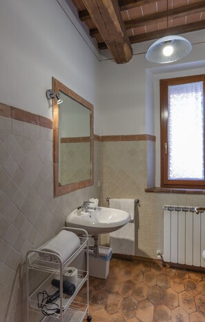 Shower, hair dryer, bidet