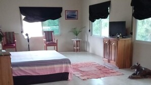 1 bedroom, free WiFi, bed sheets - Captivating 1-bed House in West End Negril (Negril)