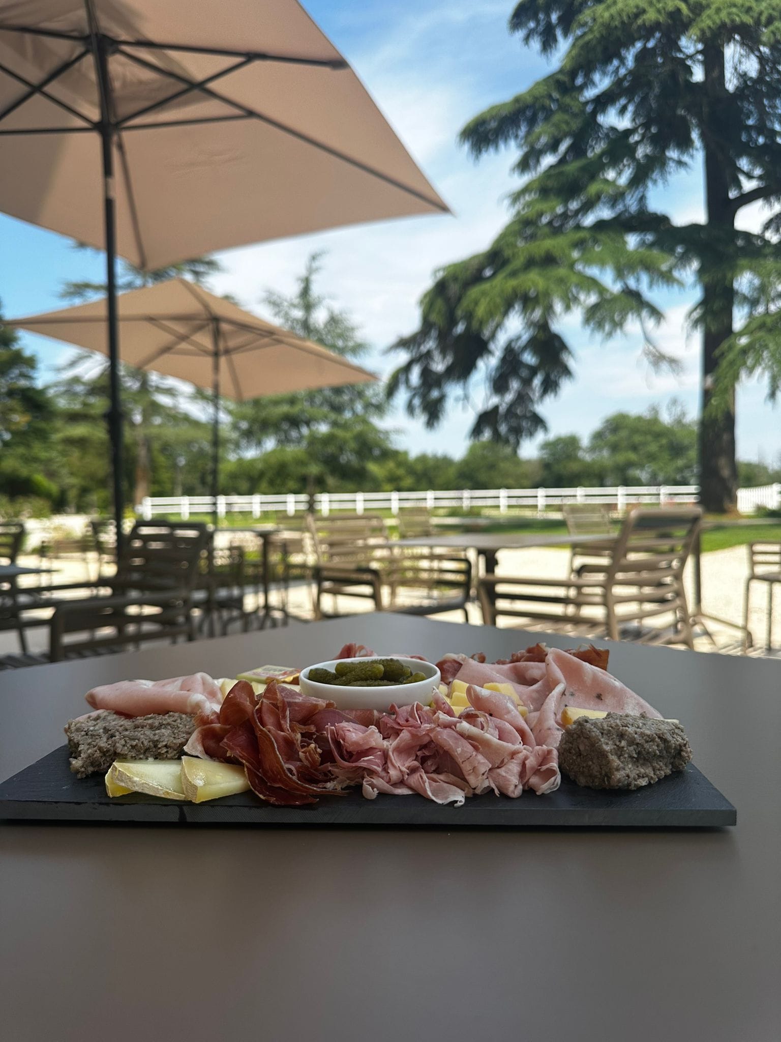 テラス / パティオ