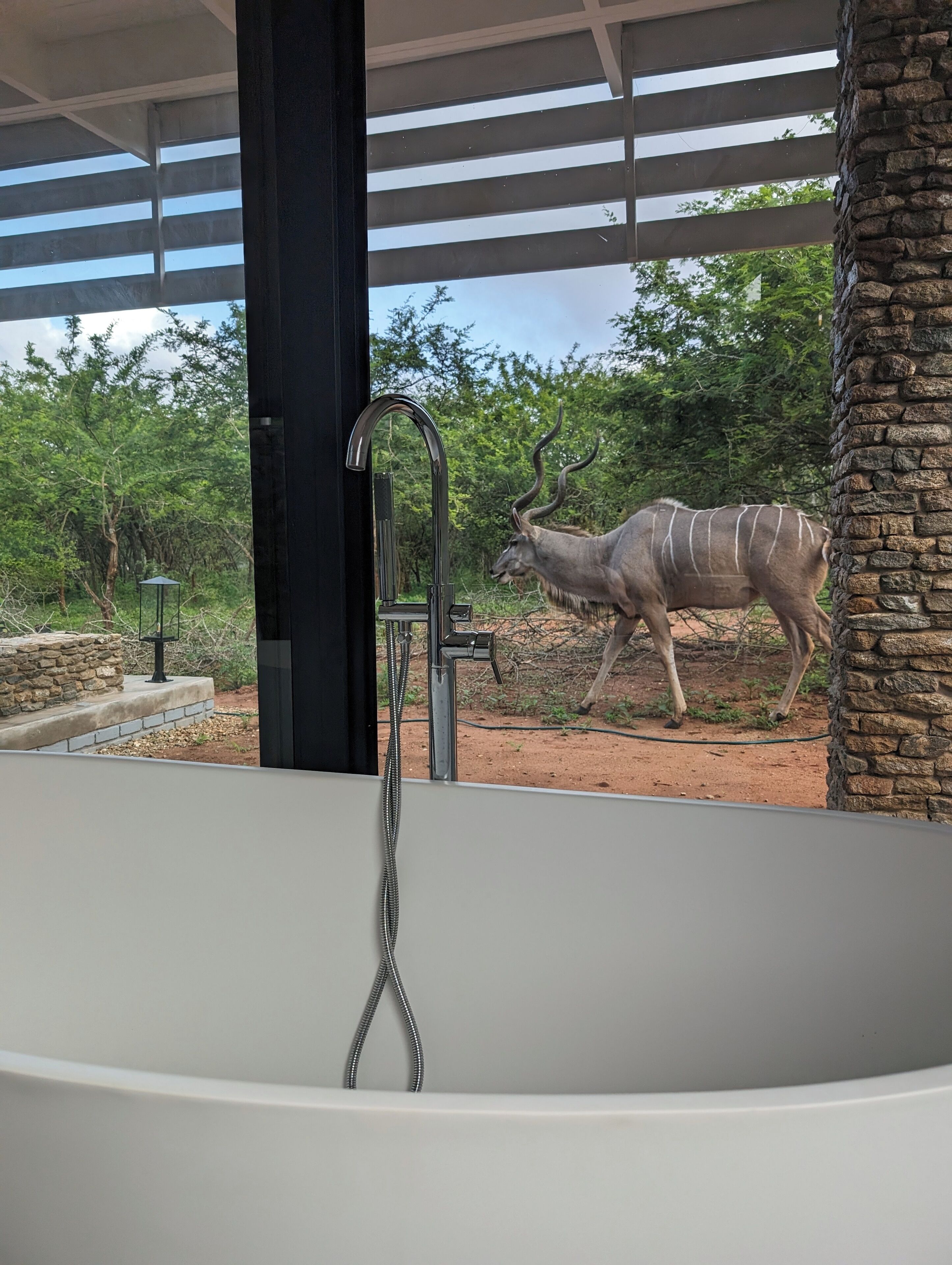 A modern bathroom with a freestanding bathtub, a stone wall, and a view of an outdoor area with a giraffe.