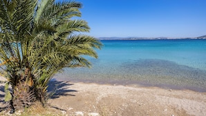 A beach with clear turquoise water, a palm tree, and distant landforms. - Sisus Marina Hotel (Cesme)