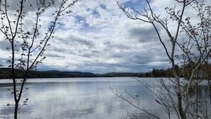 Un lago tranquilo con árboles en primer plano y un cielo nublado.