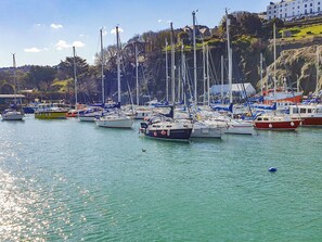 A marina with various boats docked, a clear sky, and a hillside with buildings in the background.