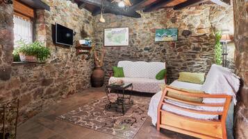 Télévision, cheminée, lecteur de DVD, table de tennis de table