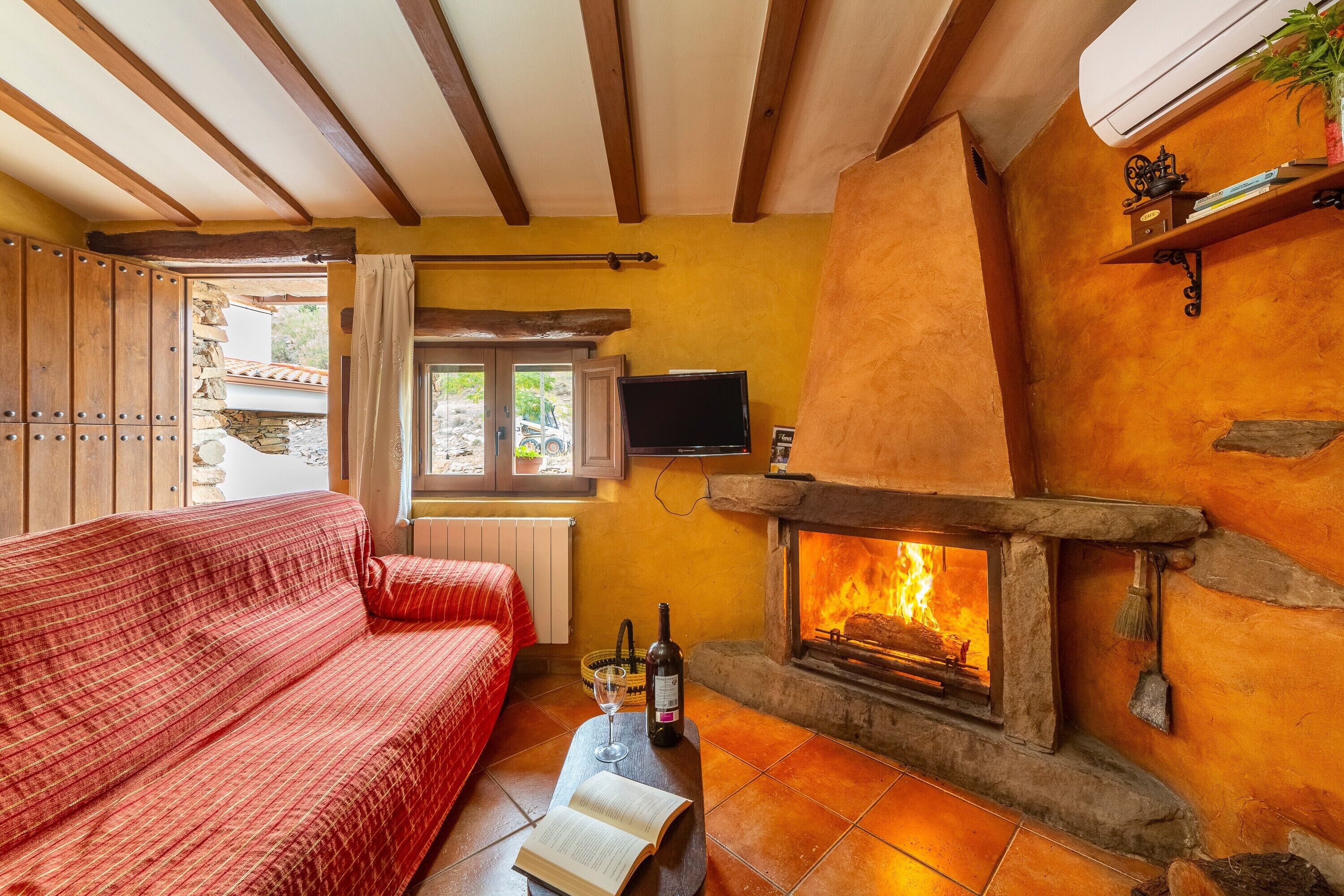 TV, fireplace