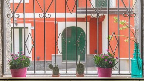 A window with metal bars, three potted plants, and a green door in the background.