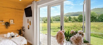 Freedom Fields - Bluebell