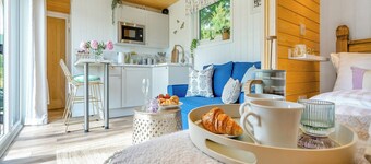 Freedom Fields - Bluebell