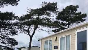 A row of mobile homes with white railings and a grassy area with scattered white flowers. - Stunning Seaside Lodge Nr New Forest 2 bed (New Milton)